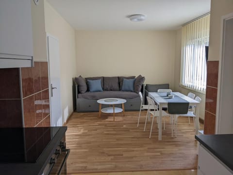 Affordable and Newly Renovated 1-bedroom Apartment Apartment in Serbia