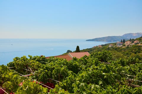 Natural landscape, Sea view