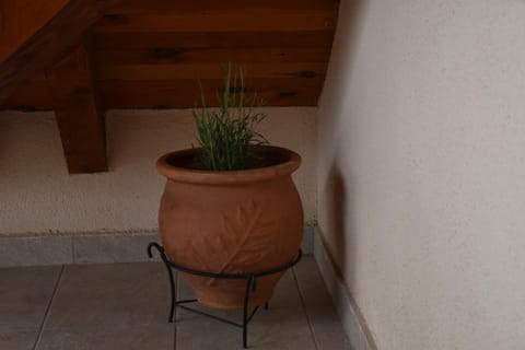 Apartman Silver Apartment in Zlatibor