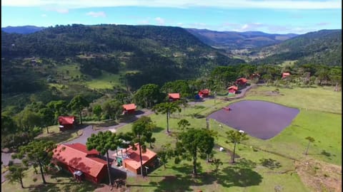 Bird's eye view, Garden