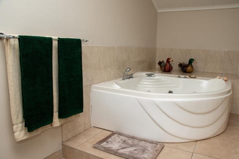 Villa Ten House in Western Cape