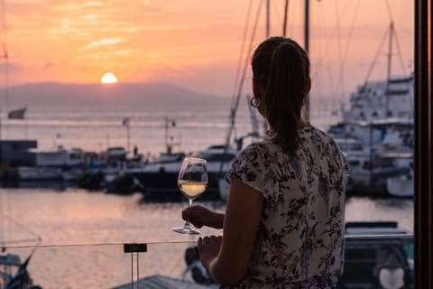 Infinity View Apartment Apartment in Naxos