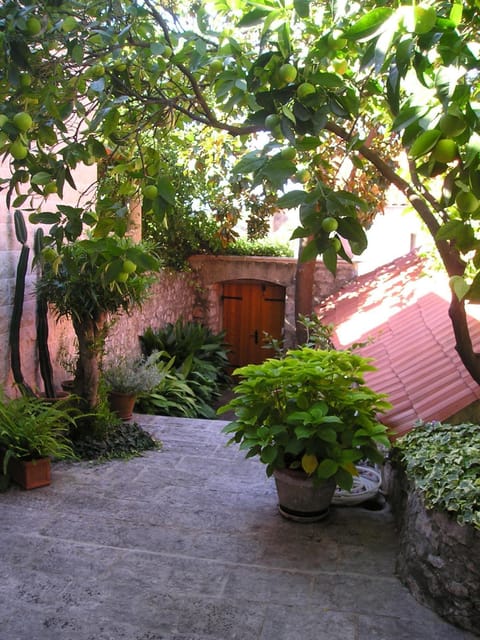 Villa Magnolia House in Cavtat