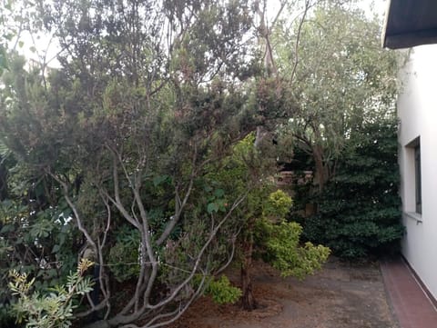 Domus Garden Bed and Breakfast in Olbia