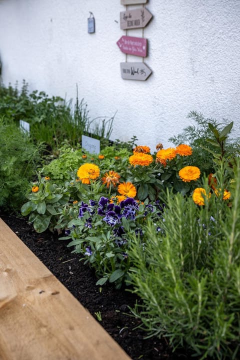 Birkenhof Farm Stay in Trentino-South Tyrol