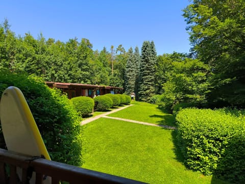 Property building, Garden, Garden view