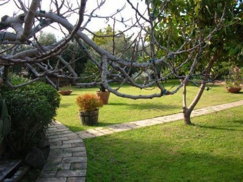 Day, Garden