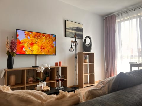 TV and multimedia, internet