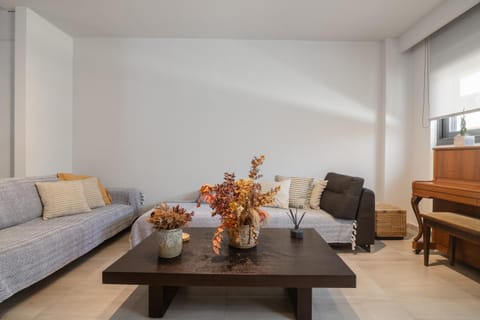 ANEMA STYLISH RESIDENCE House in Zakynthos