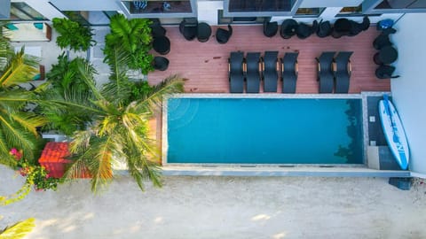 Day, Pool view, Swimming pool, sunbed