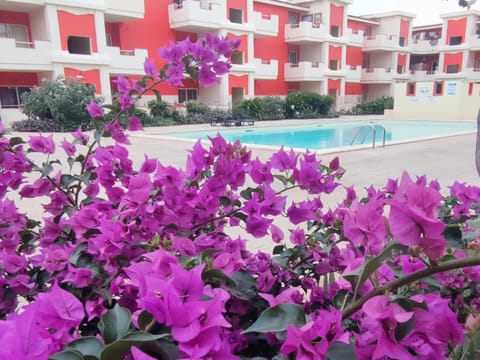 Day, Garden, Garden view, Pool view, Swimming pool, Swimming pool, sunbed