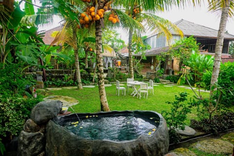 Day, Natural landscape, Garden, Garden view