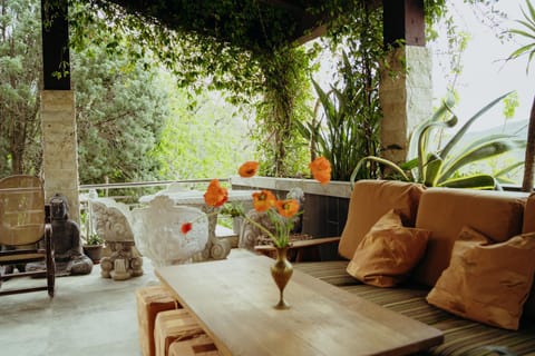 Garden, Balcony/Terrace