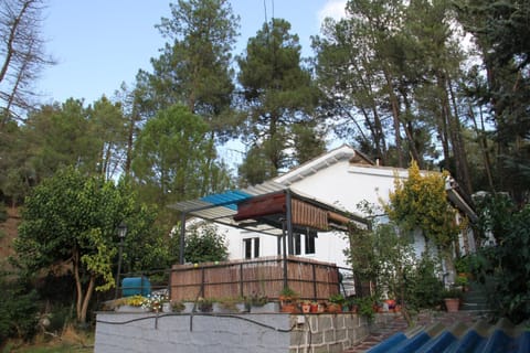 Property building, Natural landscape, Garden view