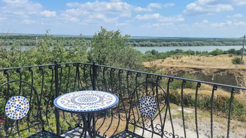 Bird's eye view, View (from property/room), Balcony/Terrace, River view