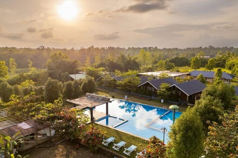 Spring, Day, Natural landscape, Garden, Garden view, Pool view, Swimming pool, Sunrise, Sunset, sunbed
