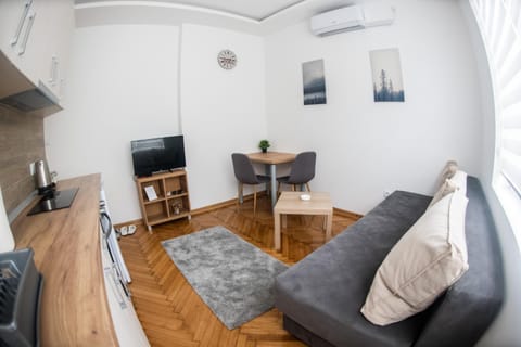 APARTMAN TEA 3 Apartment in Belgrade