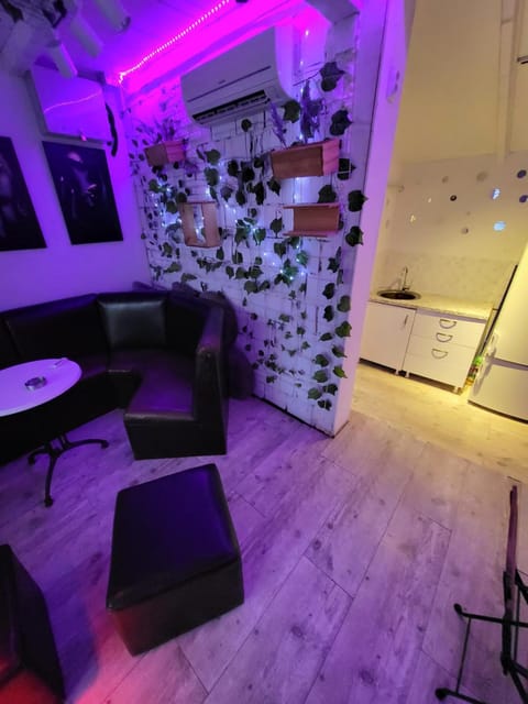 cunami kucica sa bazenom Apartment in Belgrade