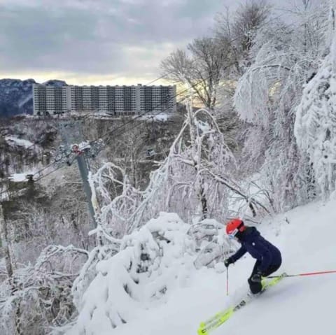 Winter, Skiing