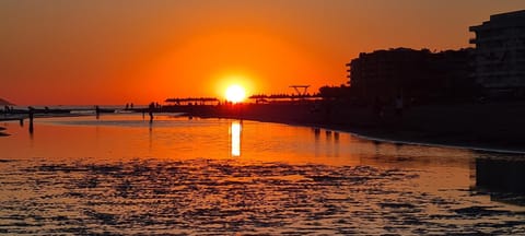 Natural landscape, Sunrise, Sunset
