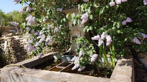 le moulin Bed and Breakfast in Bédoin