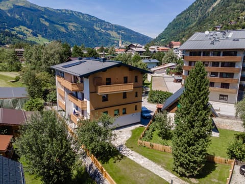 Property building, Summer