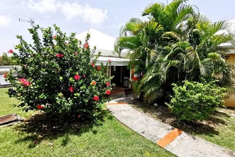 Day, Natural landscape, Garden, Garden view