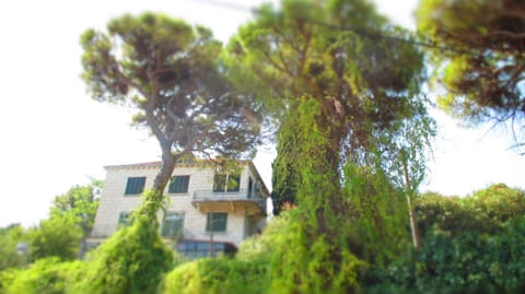Property building, Day, Natural landscape