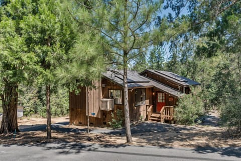 Pet Friendly Grizzly Blair Lodge Cabin Cabin in Groveland