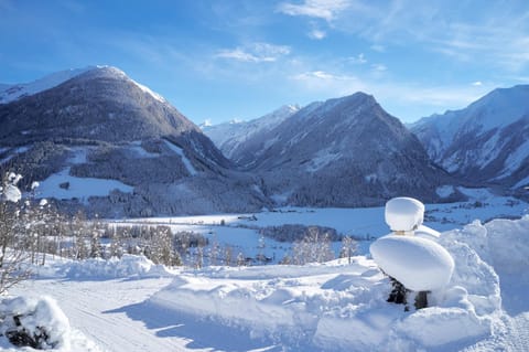 Natural landscape, Winter