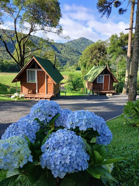 Natural landscape, Garden view