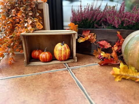 Property building, Other, Autumn