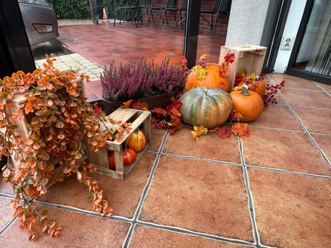 Property building, Other, Autumn