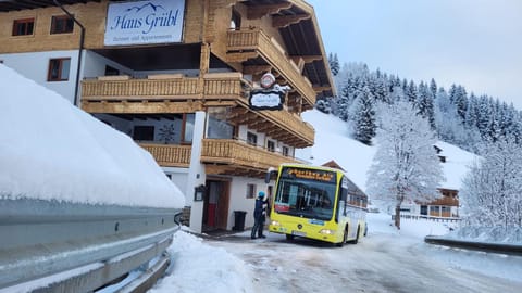 Haus Grübl Apartment hotel in Salzburgerland