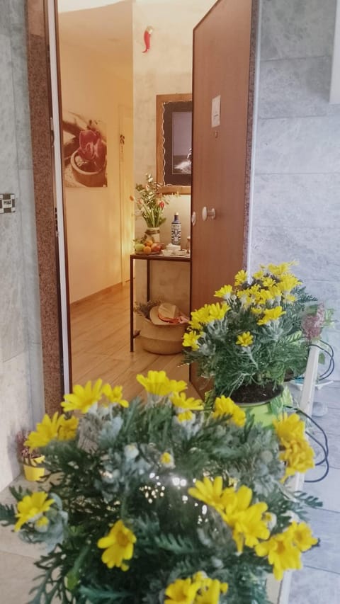 ARIEL ROOMS Bed and Breakfast in Sant Agnello