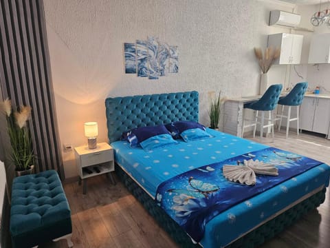 Apartman Centar 1 Apartment in Vojvodina