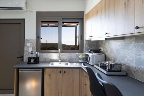 Thea Studio Apartment in Crete