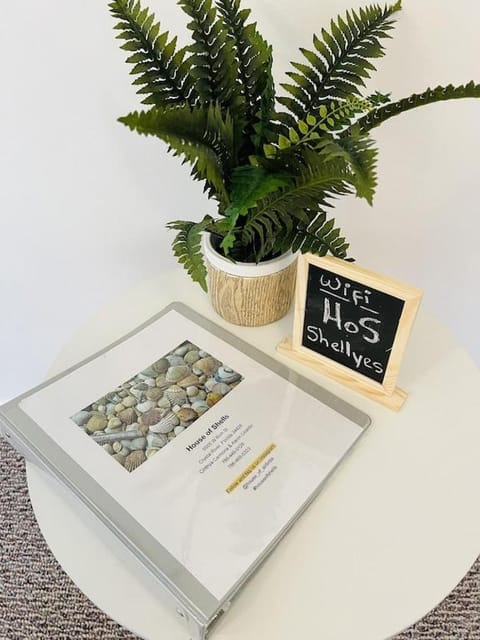 House of Shells, beautiful garden, fenced yard, dog friendly, fire pit! House in Florida