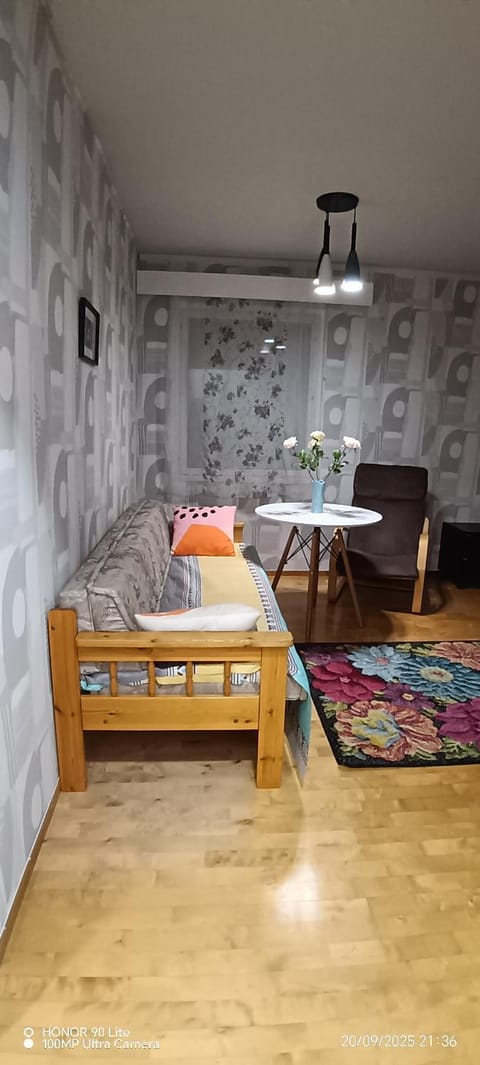 Siisti valoisa kolmio Apartment in Finland