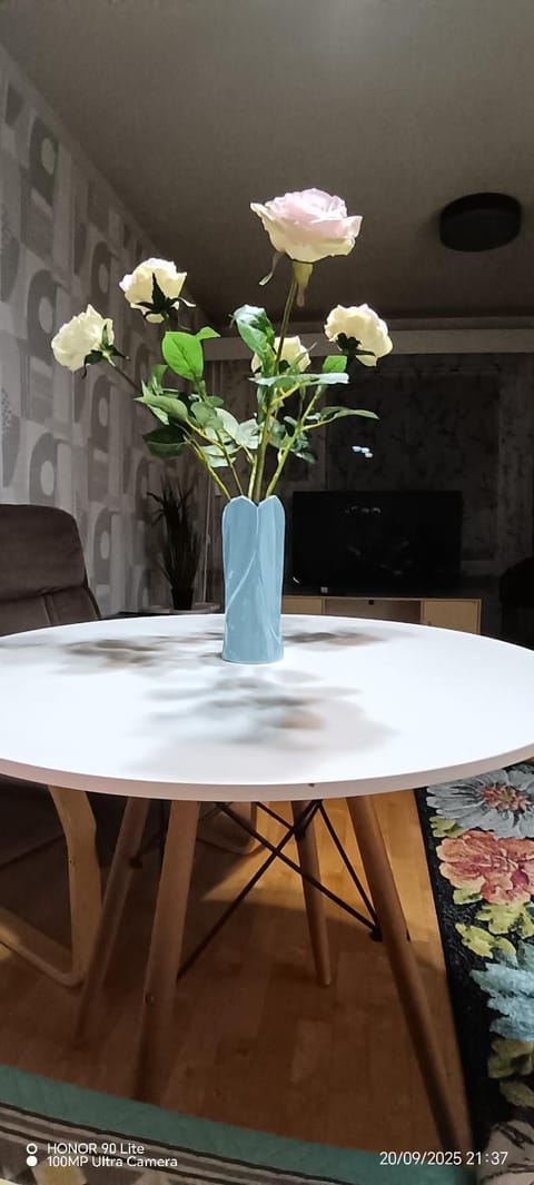 Siisti valoisa kolmio Apartment in Finland