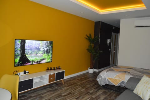 Photo of the whole room