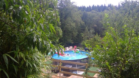 Summer, Garden, Garden, Garden view, Garden view, Swimming pool