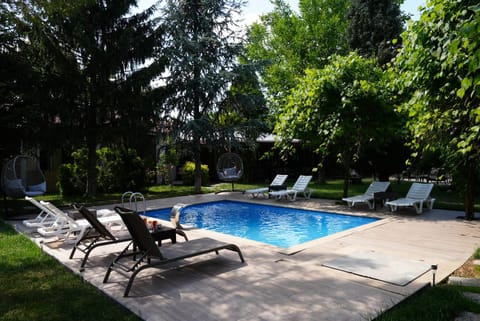 Day, Garden, Garden view, Swimming pool, sunbed