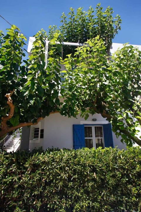 Studios Vasilis Apartment in Agia Marina