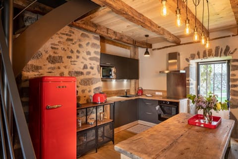 Maison typique des monts du Cantal House in Auvergne-Rhône-Alpes