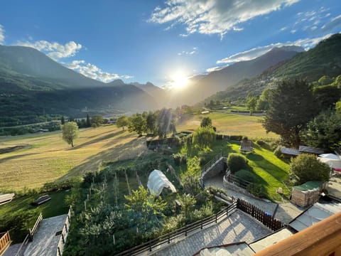Garden view, Sunset