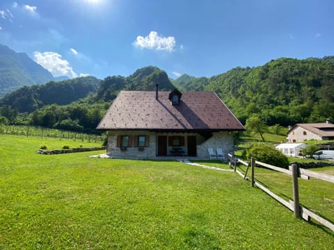 Agriturismo Pian dei Tass Farm Stay in Friuli-Venezia Giulia