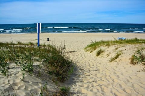 Beach, Beach, sunbed