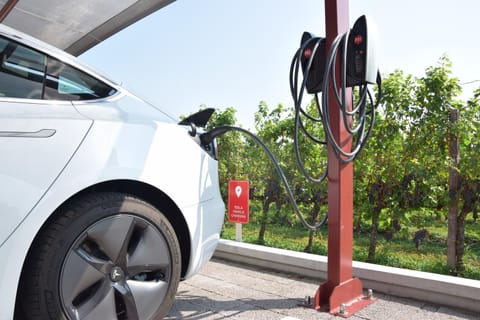 On site, Area and facilities