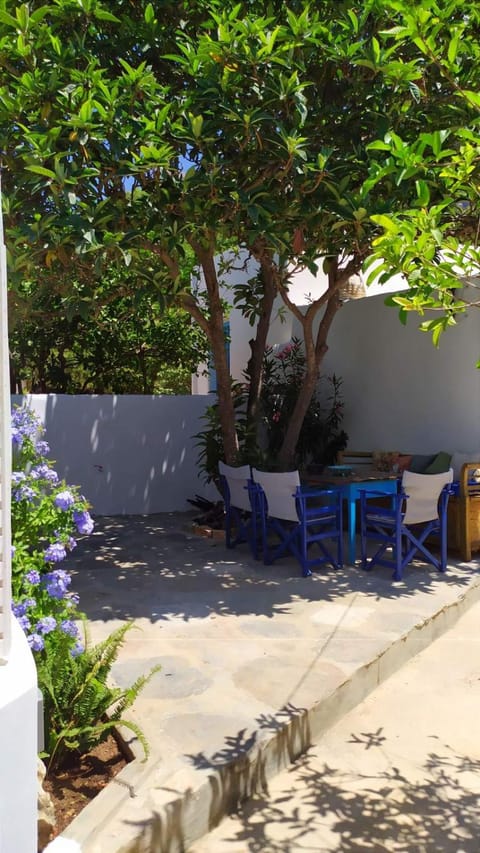 Patio, Day, Garden, Garden view